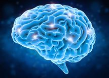 ボーッと生きてると人生がうまくいく理由