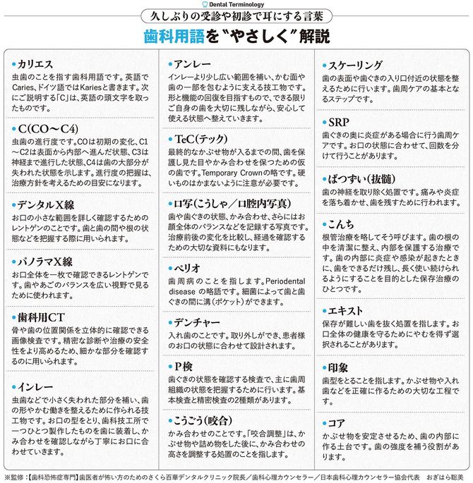 歯科用語を“やさしく”解説