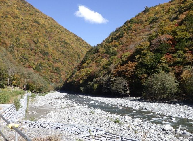 導水路でトンネル湧水が戻される椹島付近の大井川(静岡市)