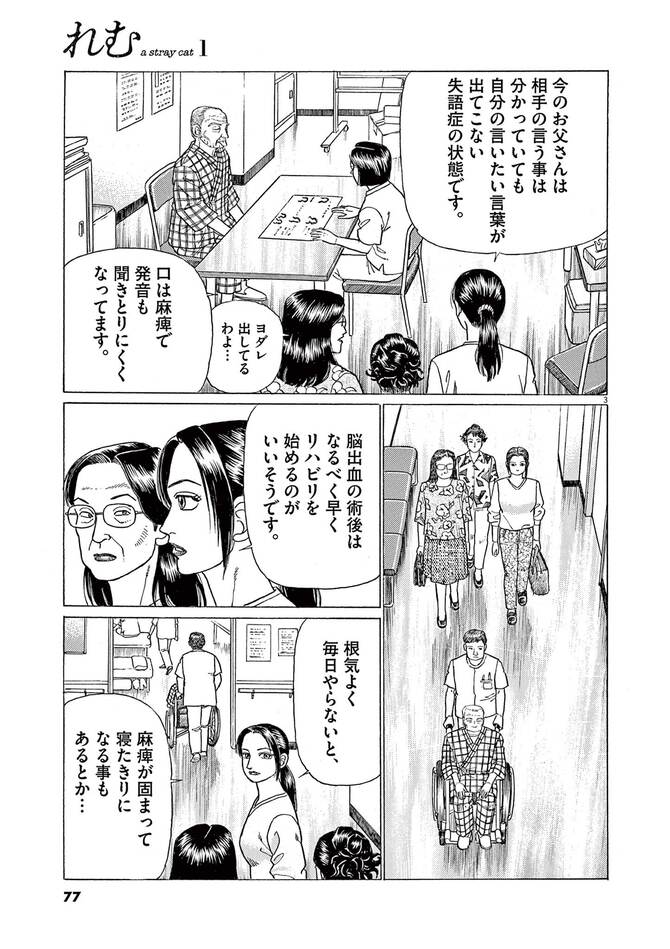 『れむ a stray cat』©山本おさむ／小学館