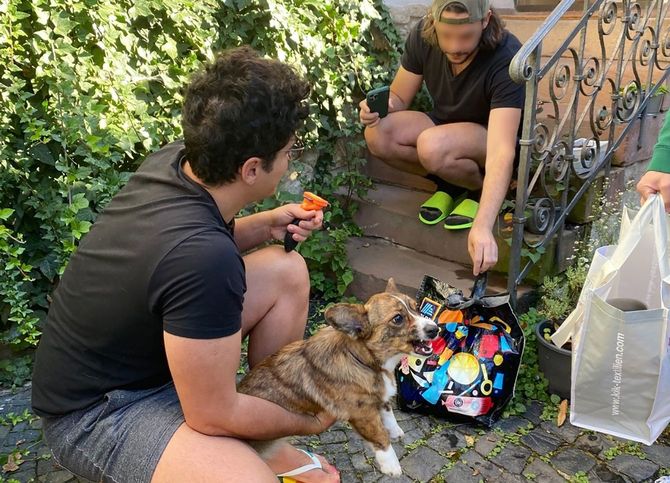 日本において犬や猫は「愛玩動物」だが、ドイツ人にとっては「家族の一員」だ