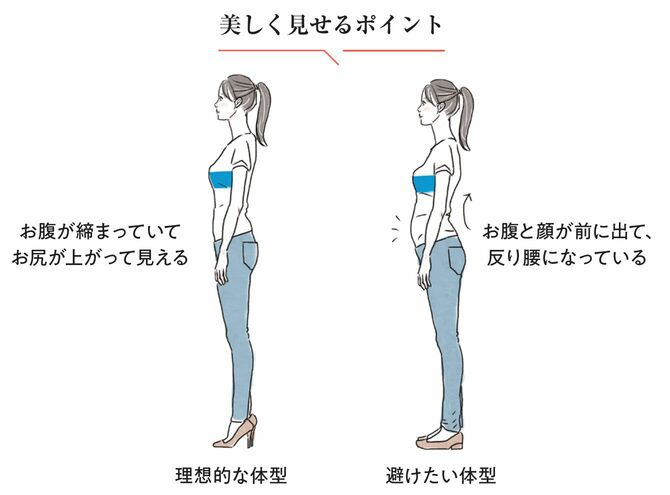 美しく見える体型