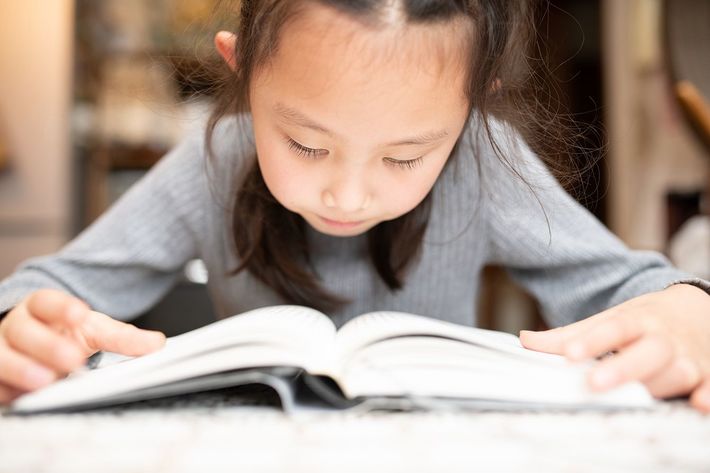 ※写真はイメージです