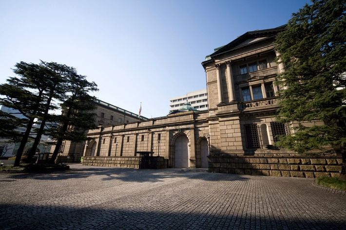 ※写真はイメージです