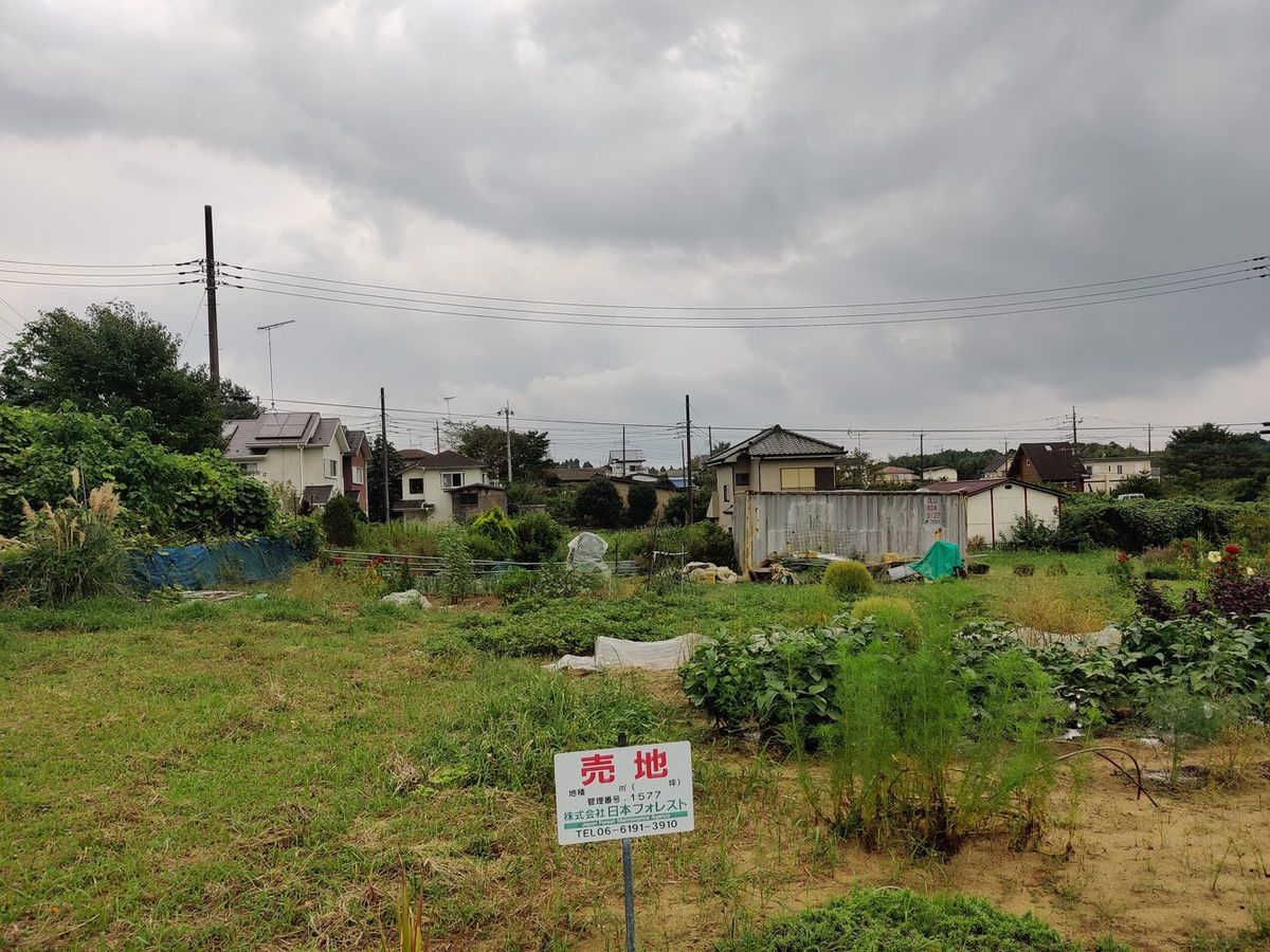 近隣住民が菜園として利用している未管理区画。