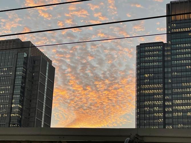 赤木雅子さんが新幹線から見た夕焼けに雲