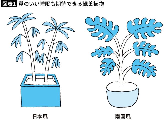 【図表】質のいい睡眠も期待できる観葉植物
