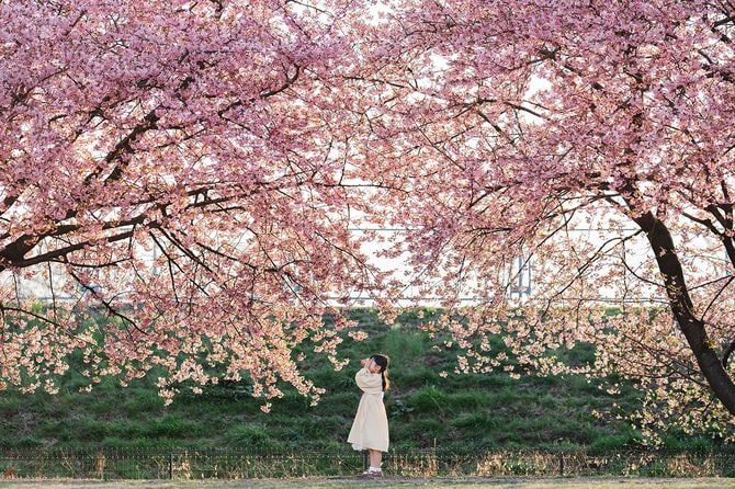 2026優秀賞「いのち、芽吹く」吉澤夏美さん
