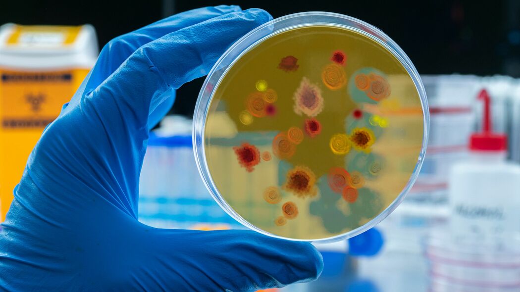 ｢血液型で病気リスクがこんなに違う｣O型の発症率が66%も少ない｢世界で約100万人が命を落としてきた病気｣