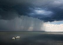 世界を救った偉大なる「研究バカ」の人生