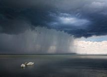 世界を救った偉大なる「研究バカ」の人生