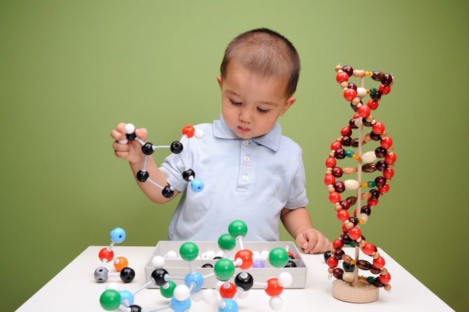 DNAや有機物の分子構造模型で遊ぶ男の子