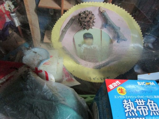 「孫」とみられる子供の写真