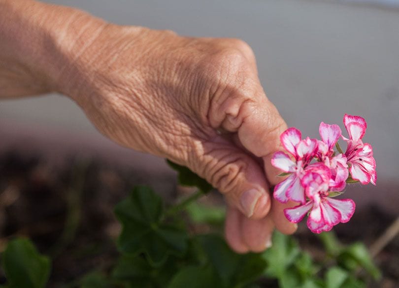 同居拒否！ 大腿骨頸部骨折後、リハビリでひとり暮らしの母