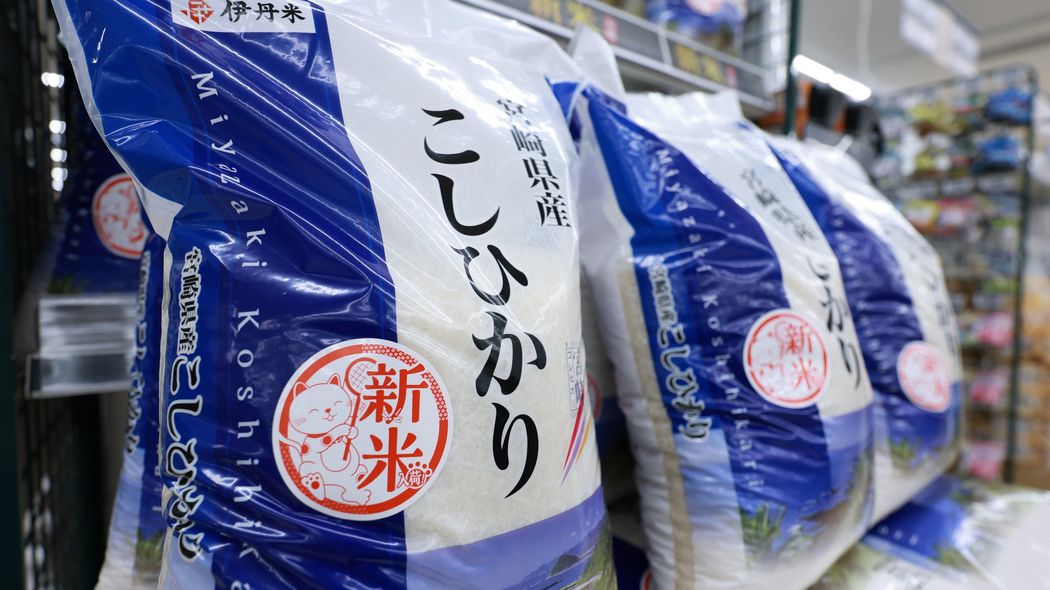 ｢この給料じゃ新米は逆立ちしても買えない｣2025年="実質賃金"ダダ下がりで国民を泣かせ続ける｢元凶｣は誰か 一人当たり平均収入が1000万円超の米国、世帯年収1000万円超は12％の日本