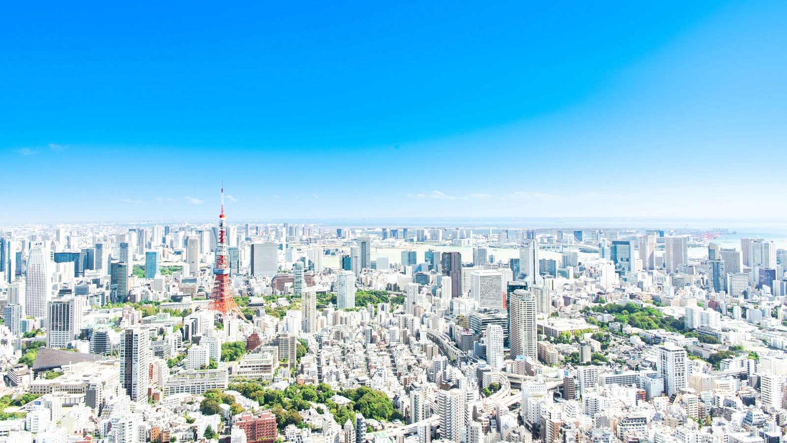 街中に｢たい焼き専門店｣がジワジワと増えている理由 店舗展開コンサルタントの結論