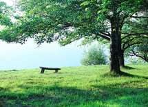 自宅介護なら98％は月5万もかからない