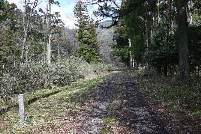 かつては屋敷が並んでいた「清水谷地区」。