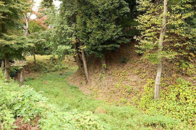 南西側を守る堀。右側が城内