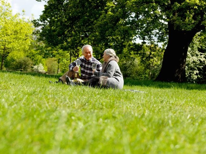 ピクニックでワインを飲むシニアカップル