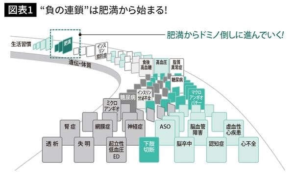 “負の連鎖”は肥満から始まる！