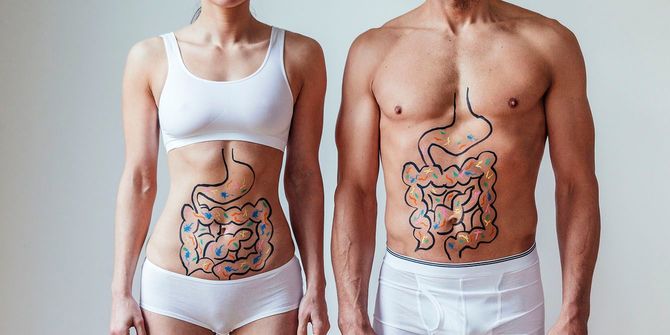 腸のイラストのイメージ