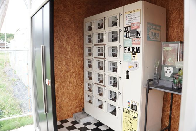 夫婦でDIYした屋外用の物置に自動販売機を設置。まるで秘密基地のような空間