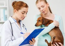 ペット保険と貯金、おトクなのはどっち？