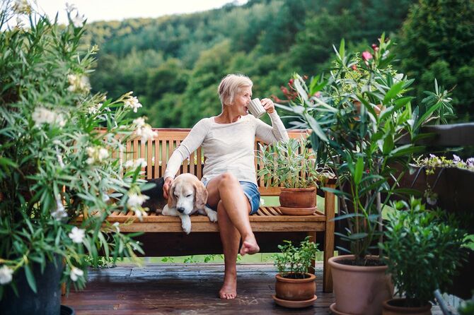 夏の晴れた日にテラスで屋外に座っている犬とコーヒーを持つ先輩女性。