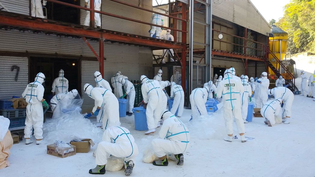 ｢死者数は40倍｣新型コロナより恐い"鳥インフル"が大流行したらどうなるか ニワトリの殺処分はすでに過去最多