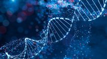 ｢親ガチャの結果｣は子供時代より40代に表れる…双子研究が明らかにした