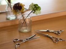 休眠美容師が高齢化社会に貢献すると――訪問美容の可能性を探る