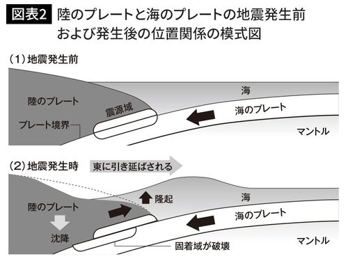 陸のプレートと海のプレートの地震発生前および発生後の位置関係の模式図