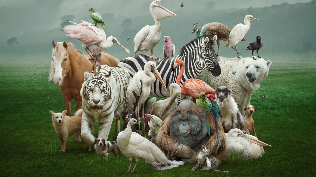 ｢もし動物に生まれ変わるなら…｣努力の報われる人が答える動物の名前 ｢適切な目標設定｣が成果を生む