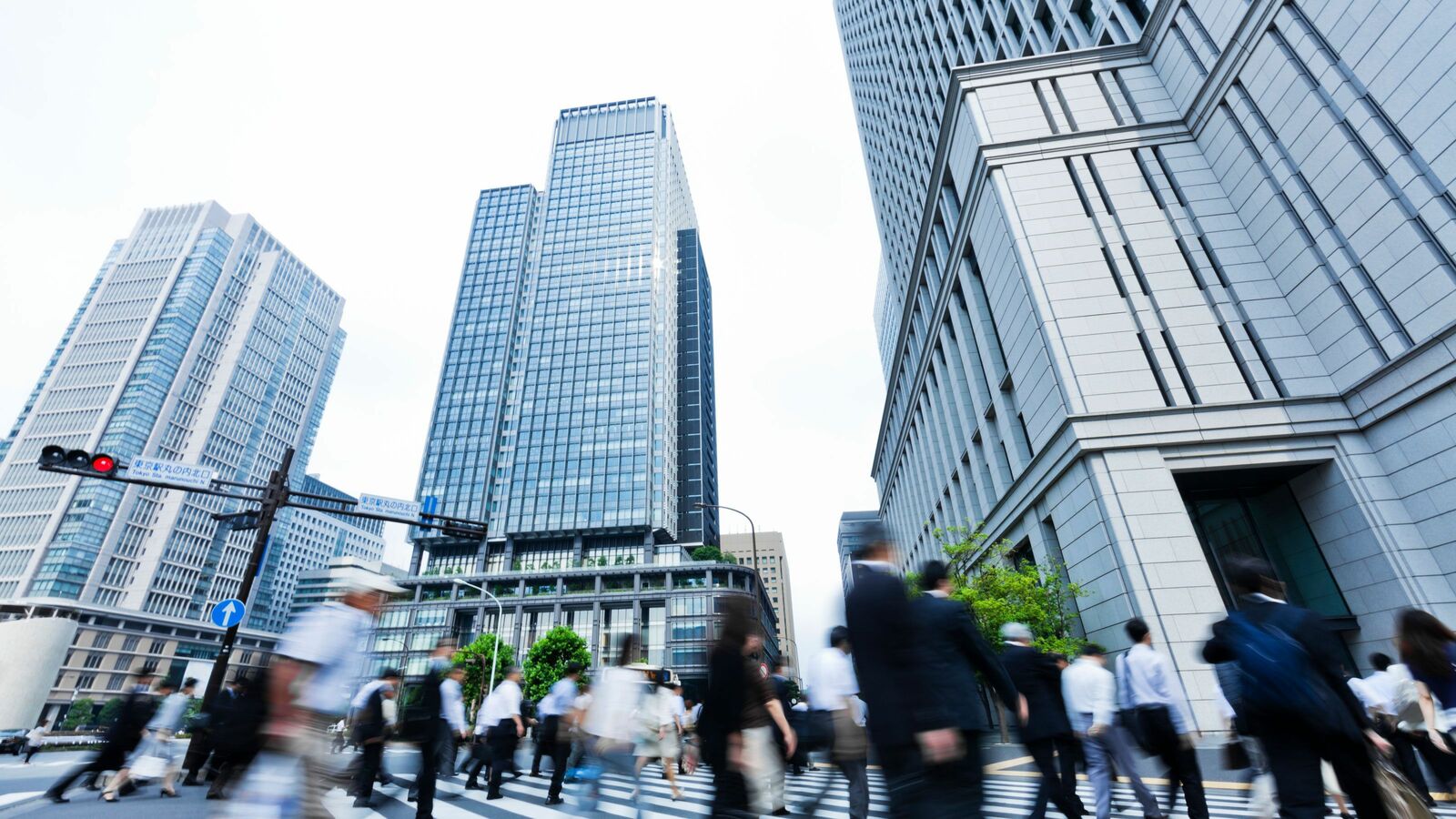 なぜ就活がうまい人は大成しないのか…養老孟司が｢食えない職業｣と言われた解剖学者になったワケ ｢景気のいい企業を選ぶ｣の落とし穴