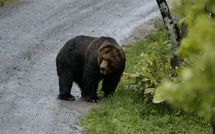 ｢引っぱり出した内臓を口からぶら下げたままじっと老人を見すえて…｣ヒグマと鉢合わせた熊撃ち名人のその後
