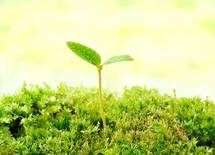 「積み立て投資」を活用して資産形成をしよう！