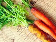 冬の美容対策には、「根菜」使い分けを！