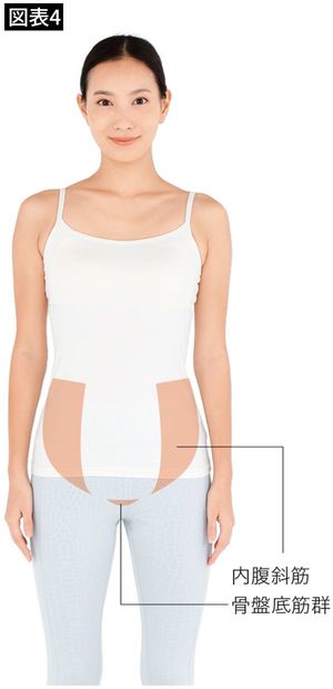 【図表4】内腹斜筋　骨盤底筋群