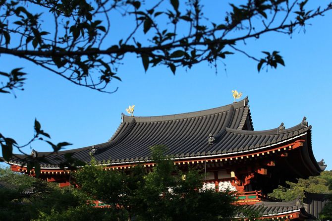 京都・宇治の平等院鳳凰堂