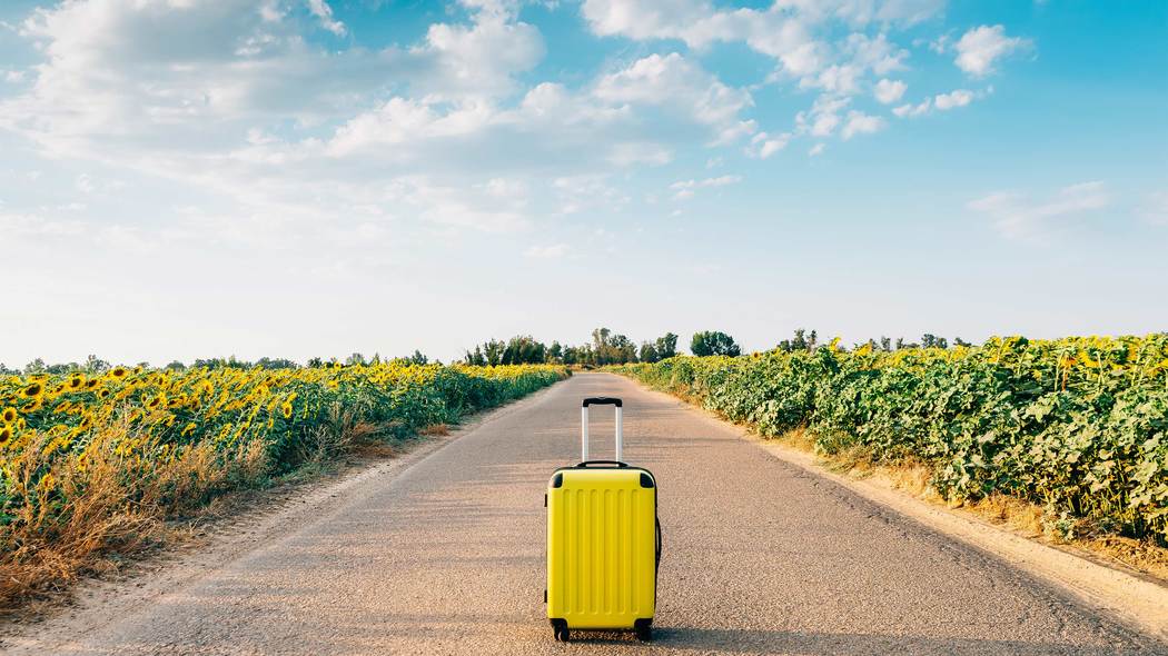 ｢みんな､体の声が聞こえなくなっている｣養老孟司さんが20年間都会と田舎の｢参勤交代｣を続ける本当の理由 持続可能な社会のヒントは手入れして育てた里山にある