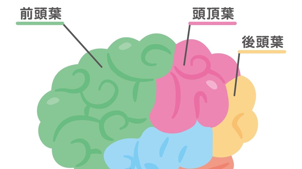 不足すると老後うつが待ち構える…和田秀樹｢幸せホルモン分泌のために食べたいスーパーにある食材｣