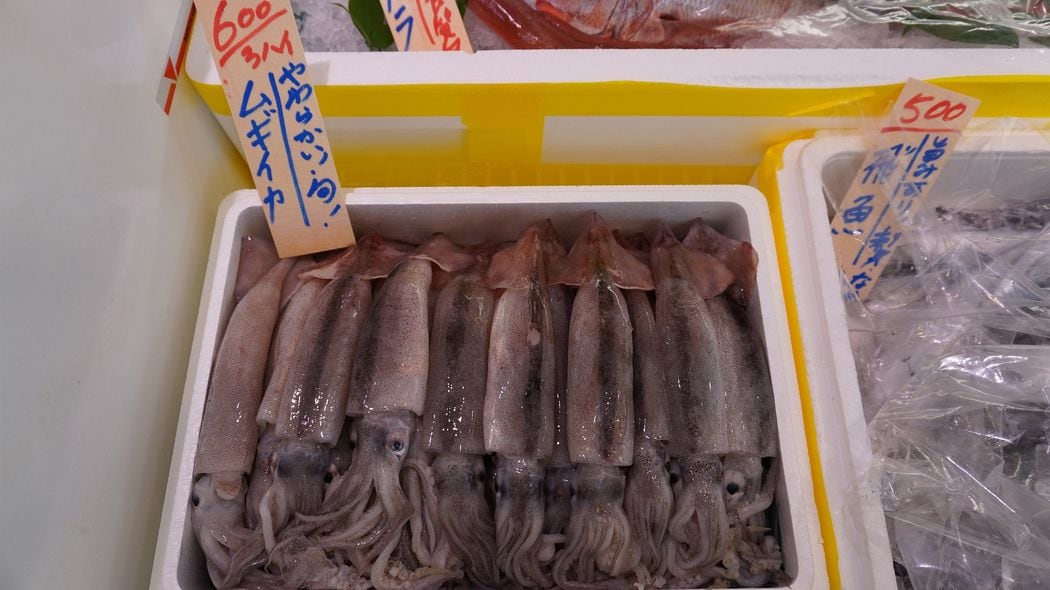 マグロでもサーモンでもない…晩酌用おつまみに最適､かつて生鮮魚介類で購入量が断トツ1位だった食材 今やブリやエビにも抜かれてしまった