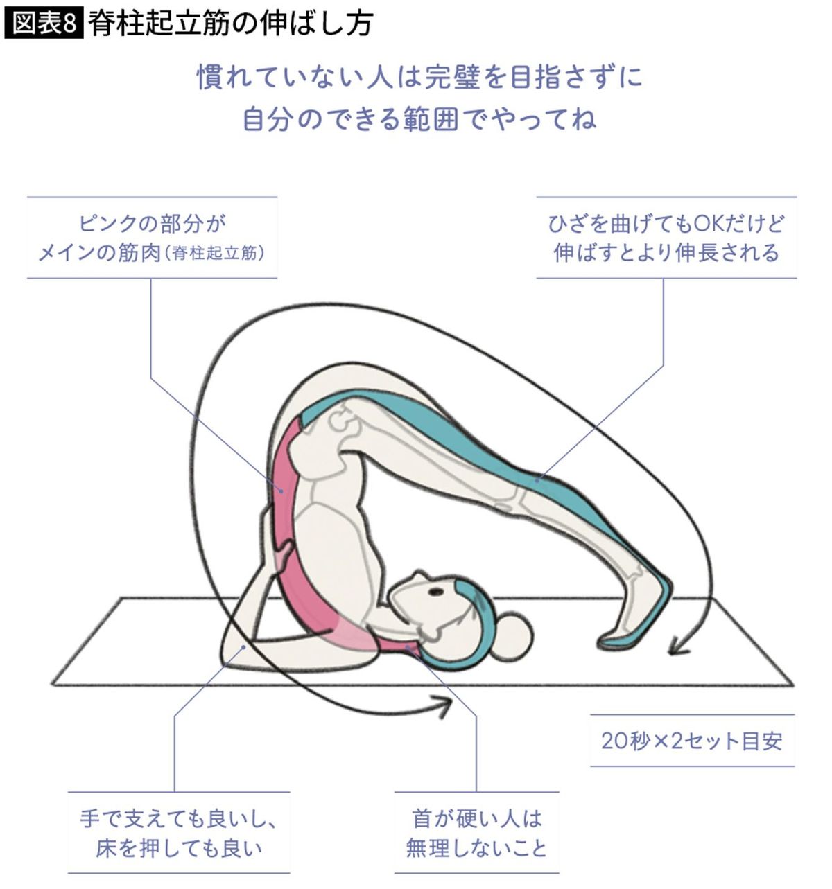 脊柱起立筋の伸ばし方