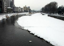 300人の孫正義-64-盛岡から国連へ