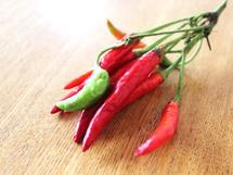 食欲増進の強い味方！ 「秋バテ」解消に役立つ香辛料ランキング