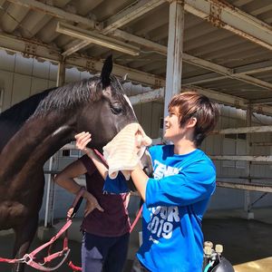 馬ボランティア