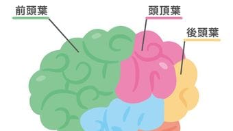 不足すると老後うつが待ち構える…和田秀樹｢幸せホルモン分泌のために食べたいスーパーにある食材｣