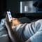 ｢寝る前はスマホ厳禁｣はウソだった…睡眠の専門家が｢ブルーライト悪者説｣を否定する"科学的根拠"