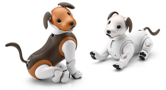 自律型エンタテインメントロボットaibo（アイボ）
